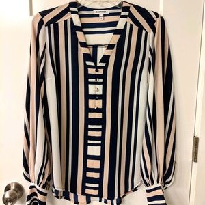 Express long sleeve blouse